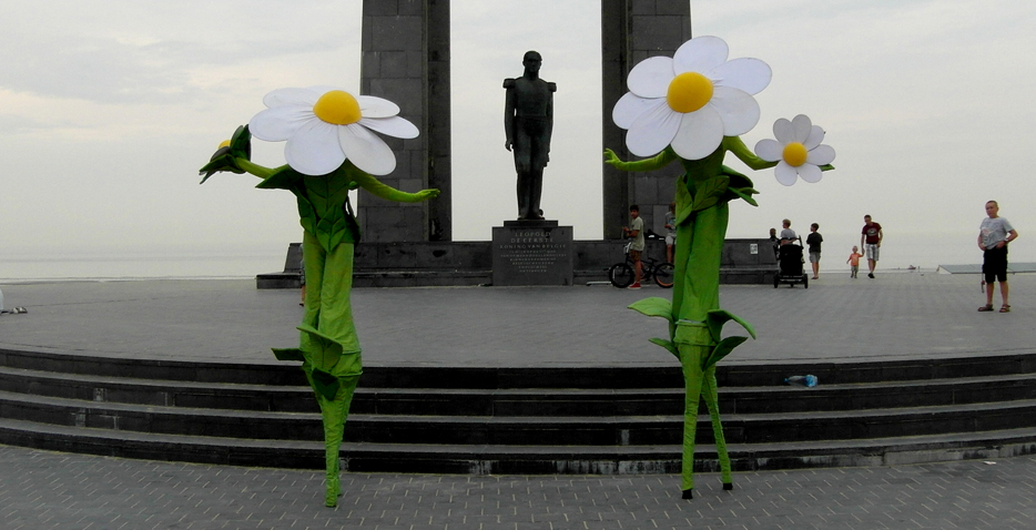 madelliefjes-bloemen-steltenlopers-thesfactory